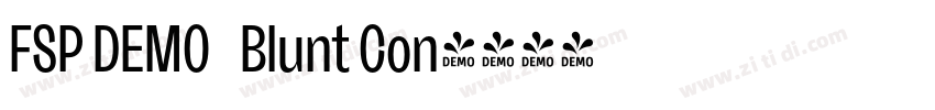 FSP DEMO   Blunt Con字体转换